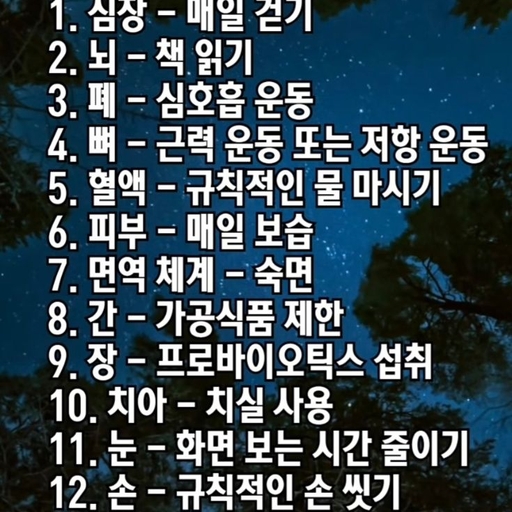 피드 이미지