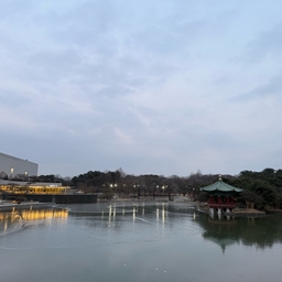 피드에 업로드 된 이미지