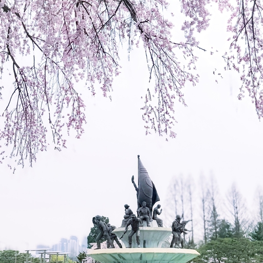 피드 이미지
