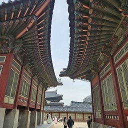 피드에 업로드 된 이미지