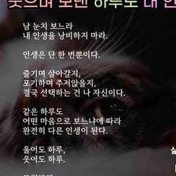 피드에 업로드 된 이미지