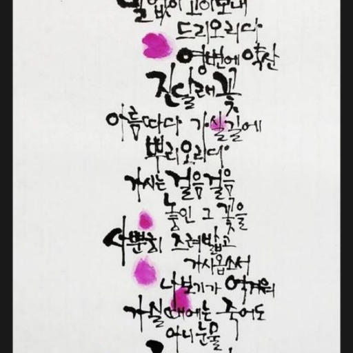 피드 이미지