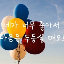 피드에 업로드 된 이미지