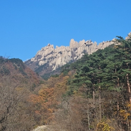 피드에 업로드 된 이미지