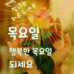 피드에 업로드 된 이미지