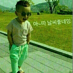 피드에 업로드 된 이미지