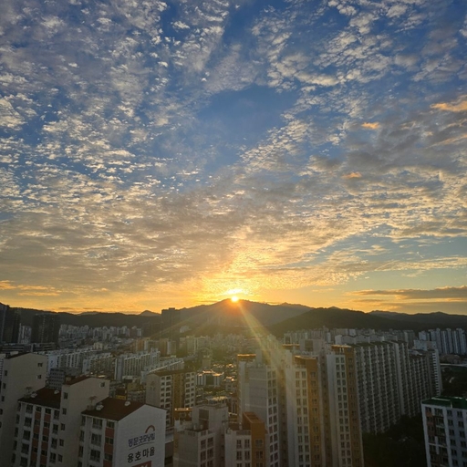 피드 이미지