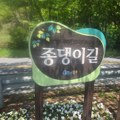피드 이미지