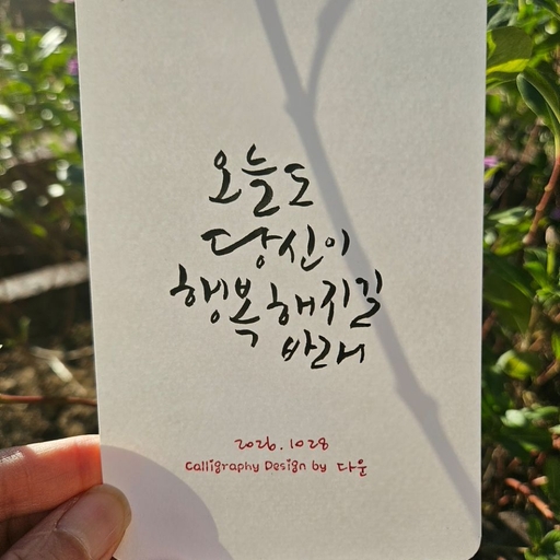 피드 이미지