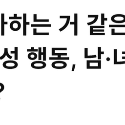 피드에 업로드 된 이미지