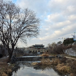 피드에 업로드 된 이미지