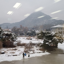 피드에 업로드 된 이미지