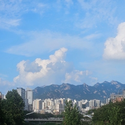 피드에 업로드 된 이미지