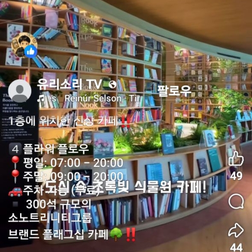 피드 이미지