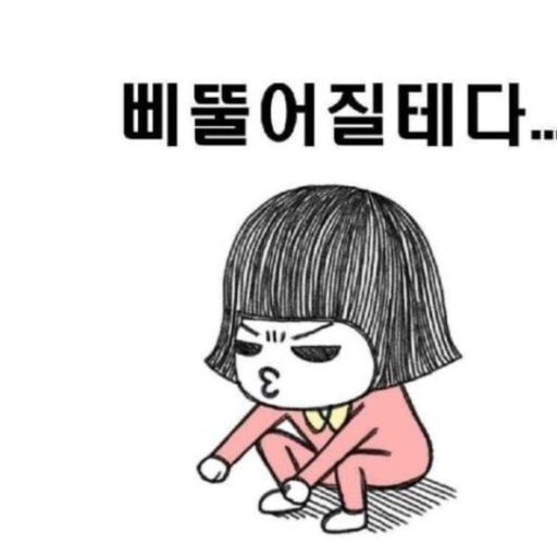 피드 이미지