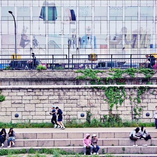 피드 이미지