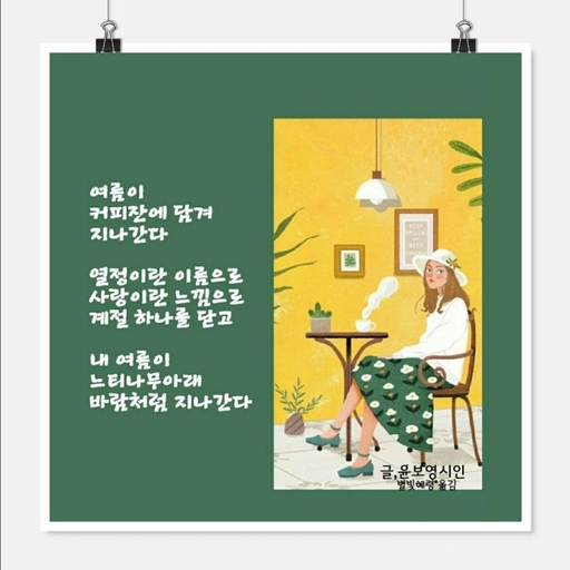 피드 이미지