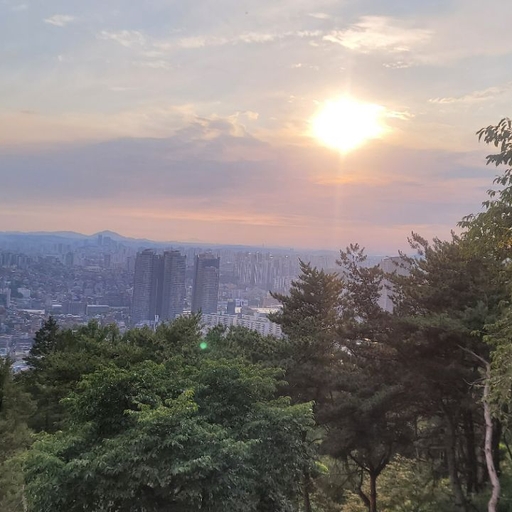 피드 이미지