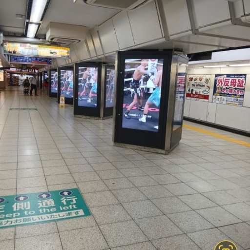 피드 이미지