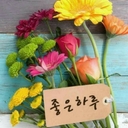 멤버 프로필
