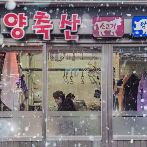 피드 이미지