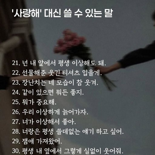 피드 이미지
