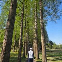 피드에 업로드 된 이미지