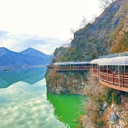 피드에 업로드 된 이미지