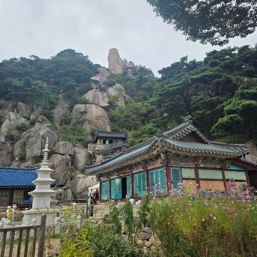 피드 이미지
