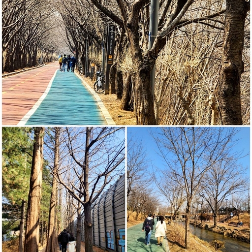 ํผ๋ ์ด๋ฏธ์ง