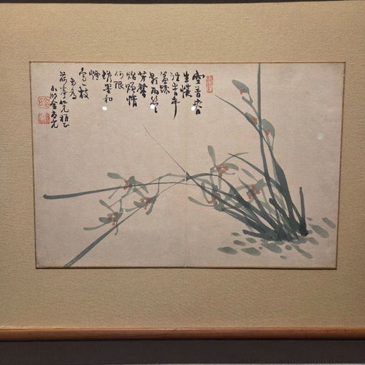피드 이미지