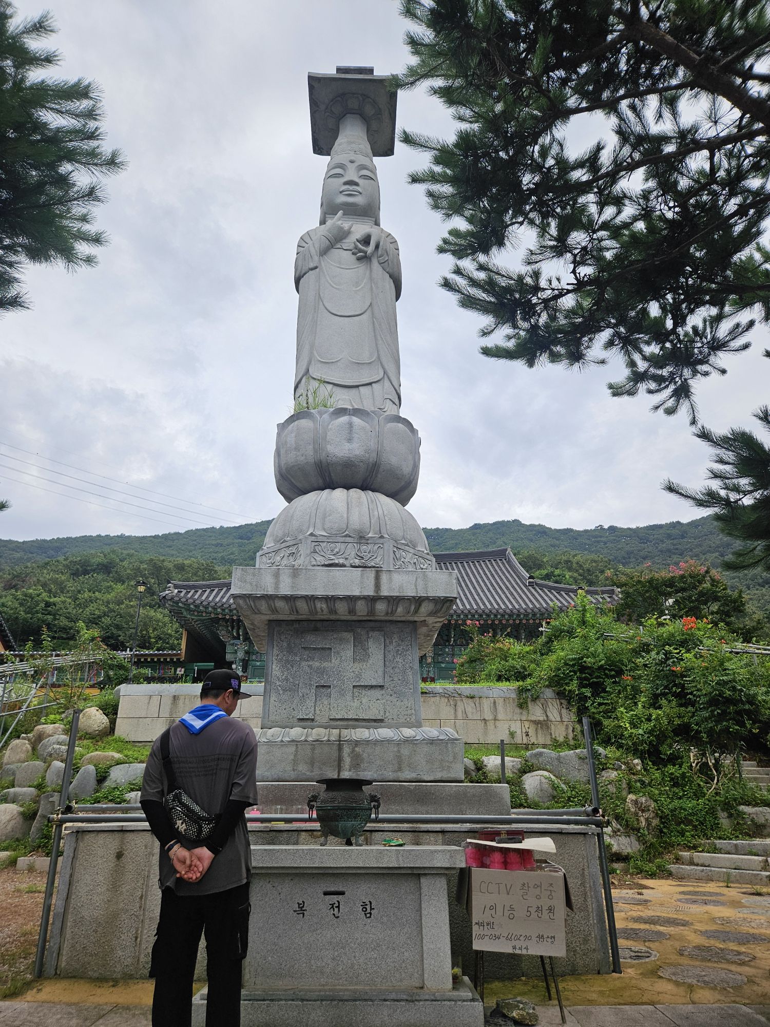 피드 이미지