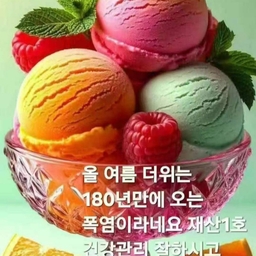 피드에 업로드 된 이미지