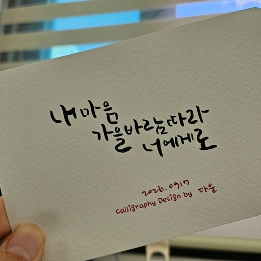 피드 이미지