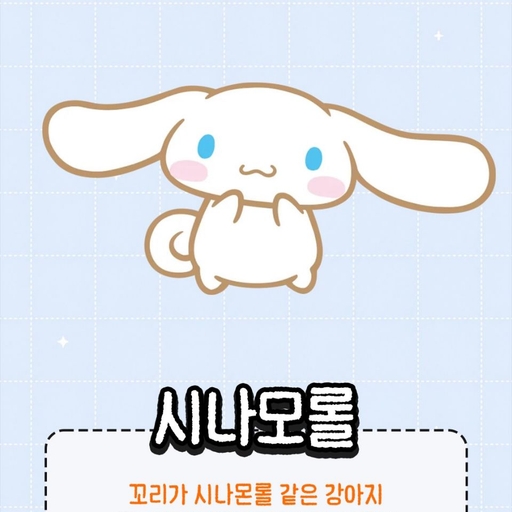 피드 이미지