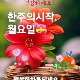 피드에 업로드 된 이미지