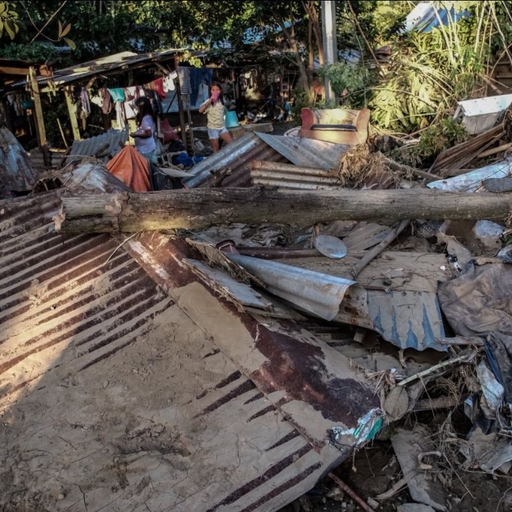 ํผ๋ ์ด๋ฏธ์ง