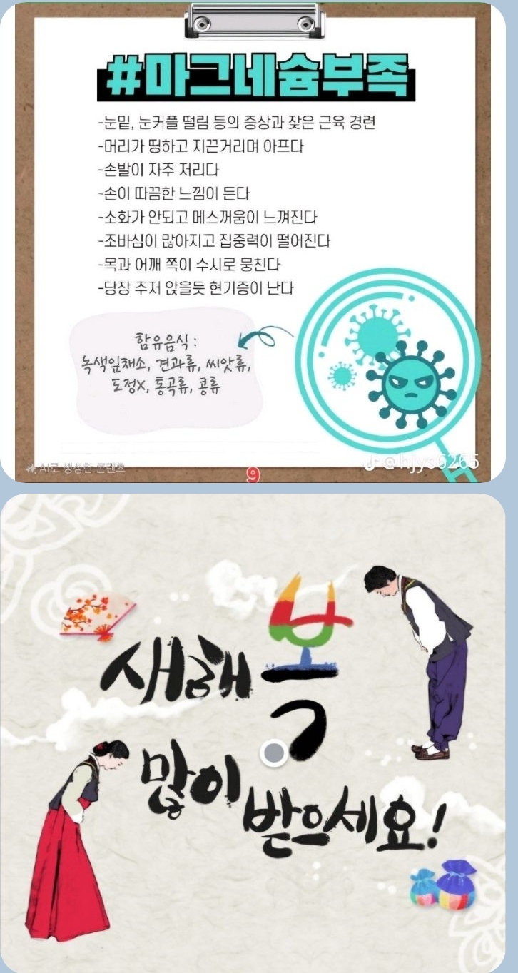 피드에 업로드 된 이미지