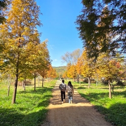 피드에 업로드 된 이미지