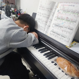 피드에 업로드 된 이미지