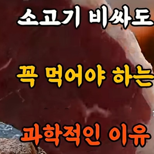 피드 이미지