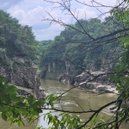 피드에 업로드 된 이미지