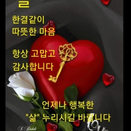 피드에 업로드 된 이미지