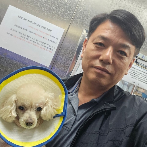 피드 이미지