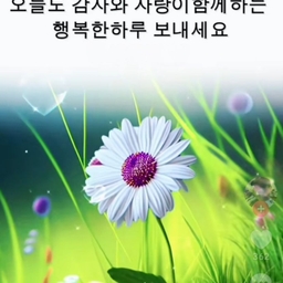 피드에 업로드 된 이미지