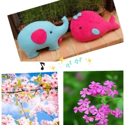 피드에 업로드 된 이미지