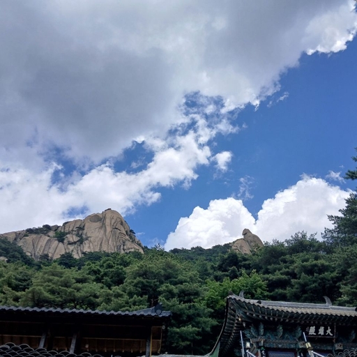 피드 이미지