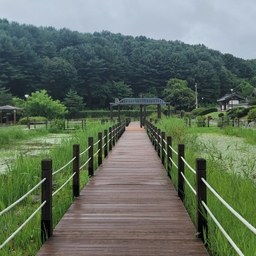 피드에 업로드 된 이미지