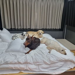 피드에 업로드 된 이미지