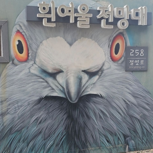 피드 이미지